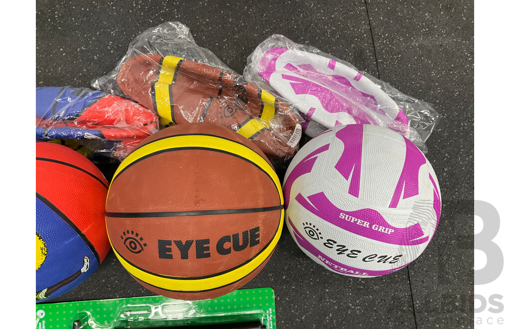 Assorted Basketball, Netball and Soccer Training Balls and Inflanting Pump - Lot of 9