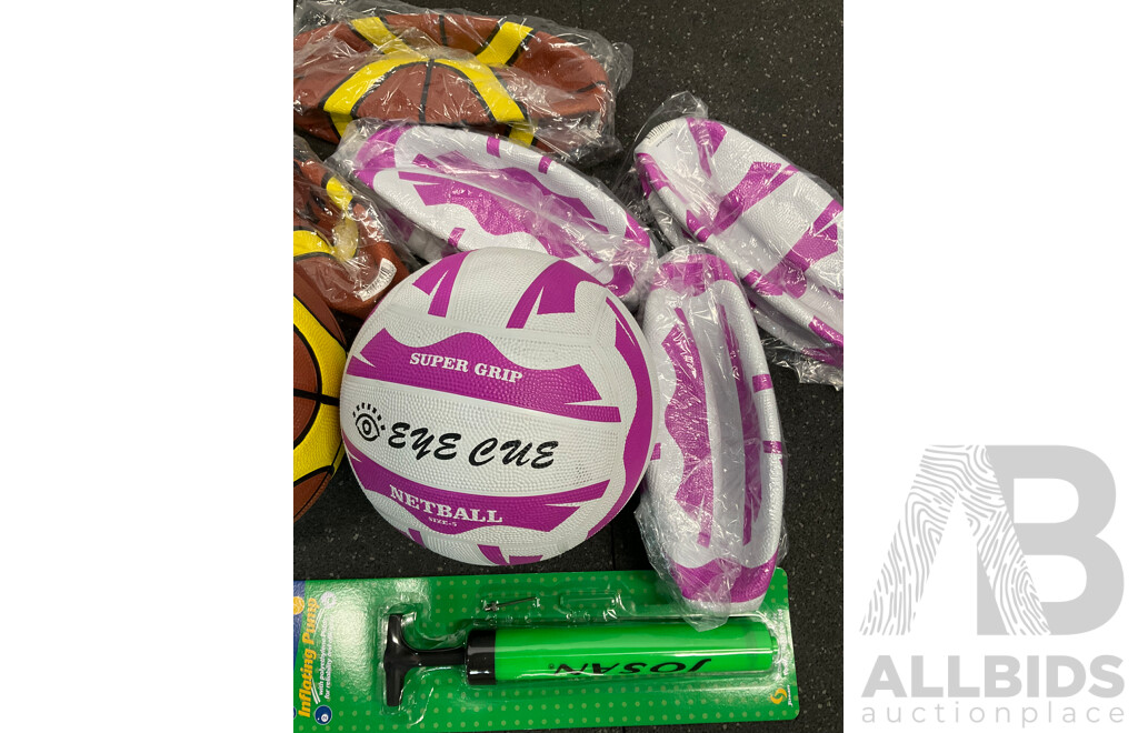 Assorted Basketball and Netball Training Balls and Inflanting Pumps - Lot of 16