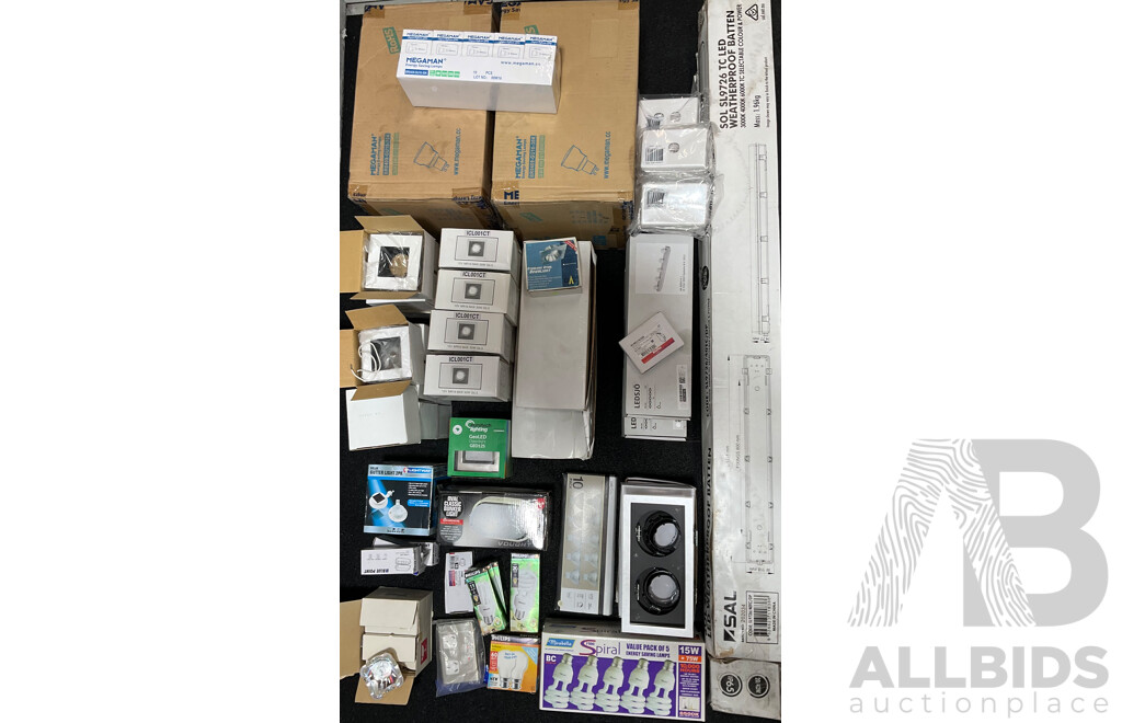 Assorted Light Fittings and Bulbs
