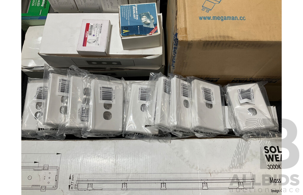 Assorted Light Fittings and Bulbs