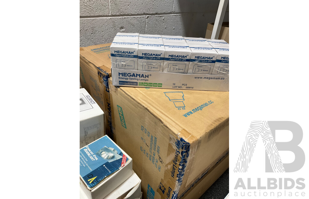 Assorted Light Fittings and Bulbs