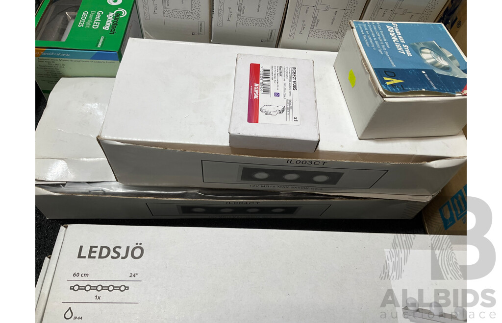 Assorted Light Fittings and Bulbs