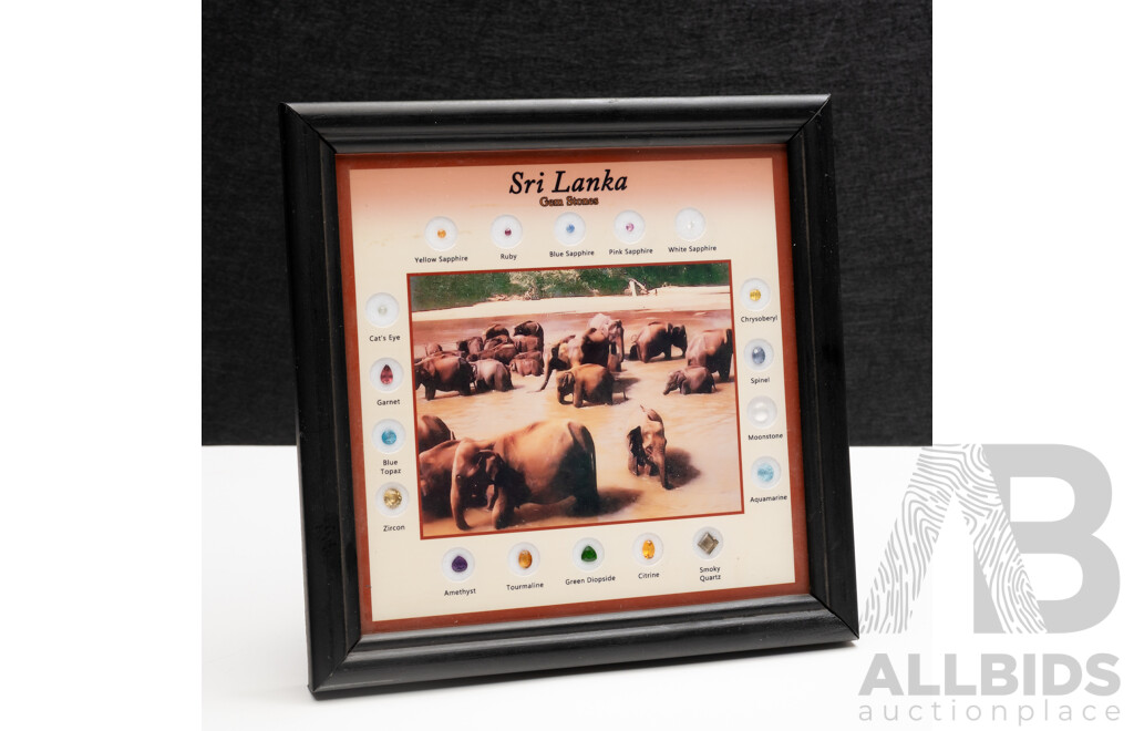 Sri Lankan Gemstone Collection 'Elephants' - Framed with (18) Natural Gemstone Specimens