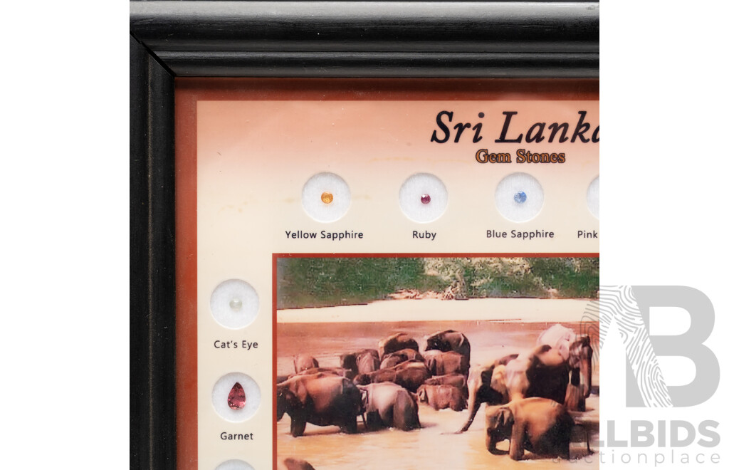 Sri Lankan Gemstone Collection 'Elephants' - Framed with (18) Natural Gemstone Specimens