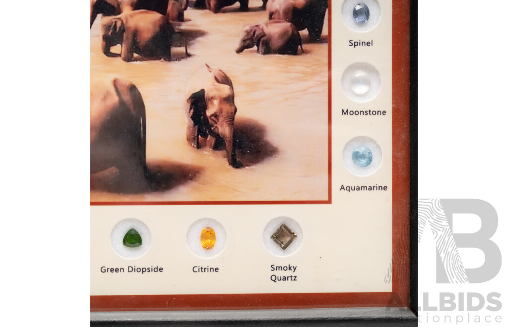 Sri Lankan Gemstone Collection 'Elephants' - Framed with (18) Natural Gemstone Specimens
