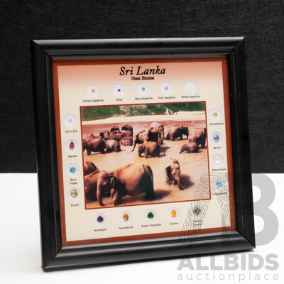 Sri Lankan Gemstone Collection 'Elephants' - Framed with (18) Natural Gemstone Specimens