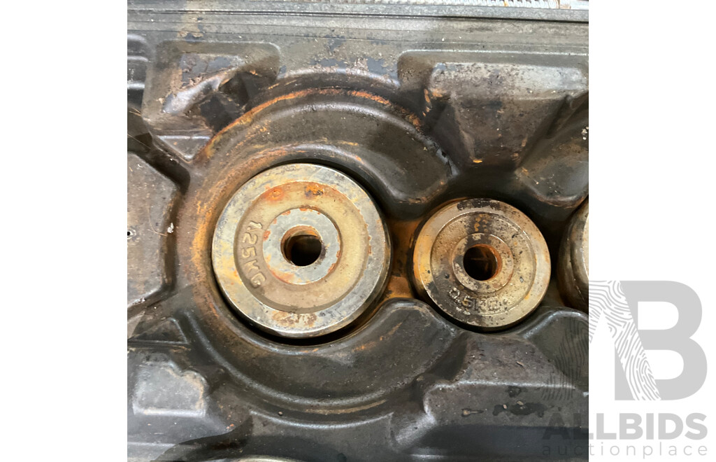 Adjustable Barbell Lifting Dumbbells with Carry Case