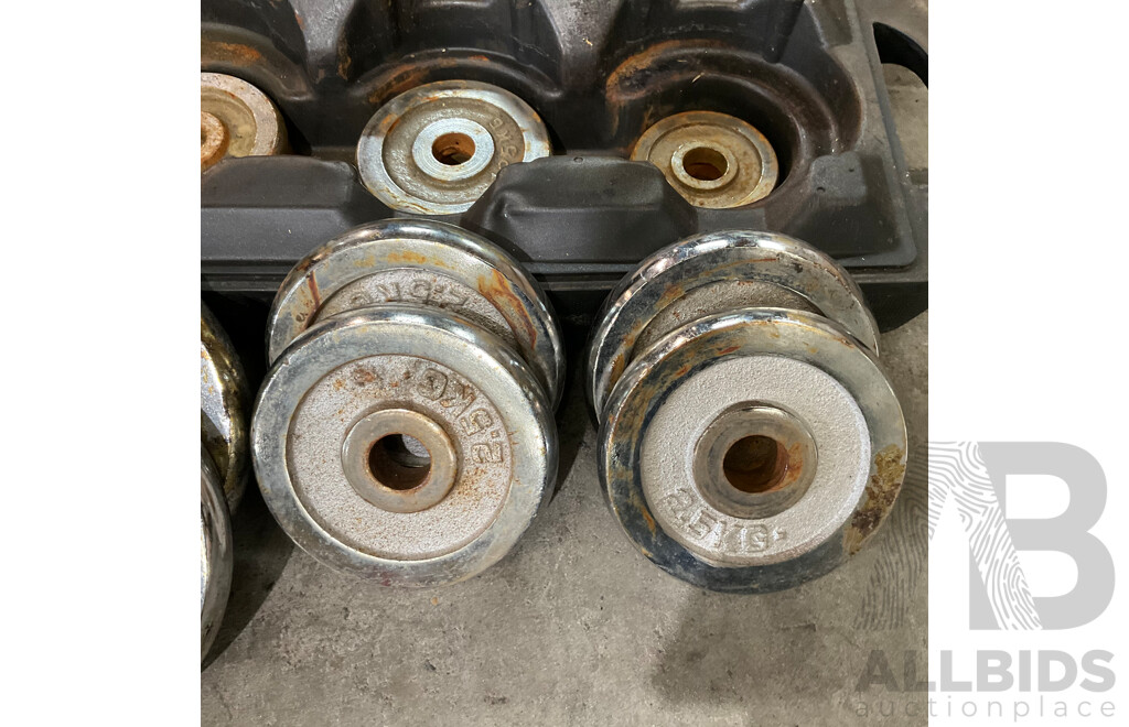 Adjustable Barbell Lifting Dumbbells with Carry Case