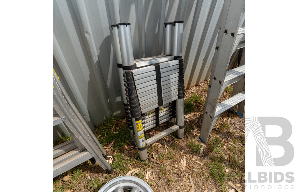 Pair of Starke Telescopic Domestic Ladders