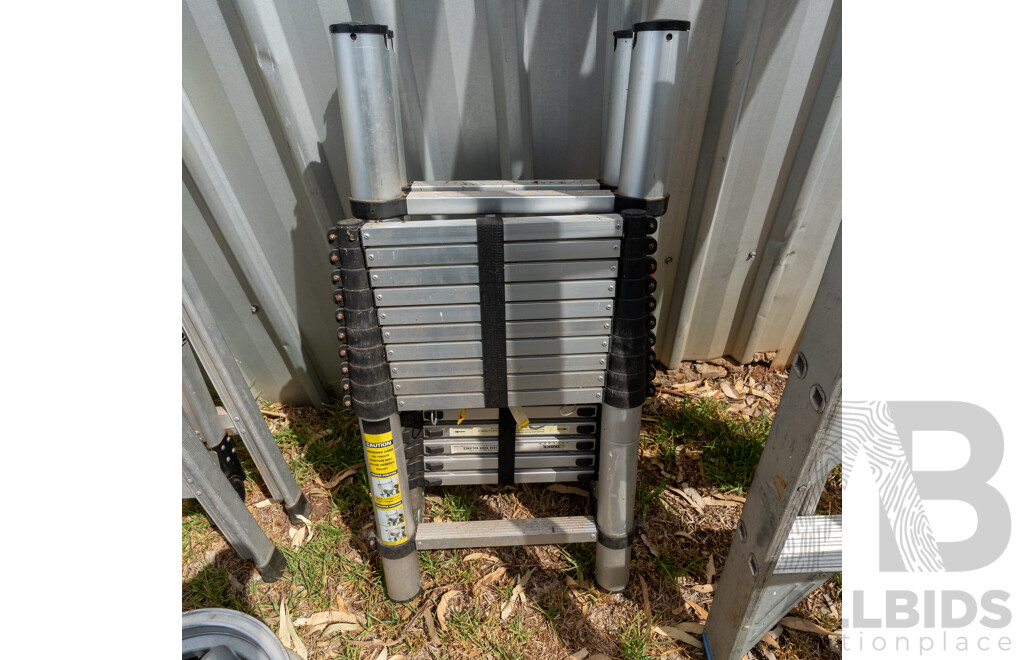 Pair of Starke Telescopic Domestic Ladders