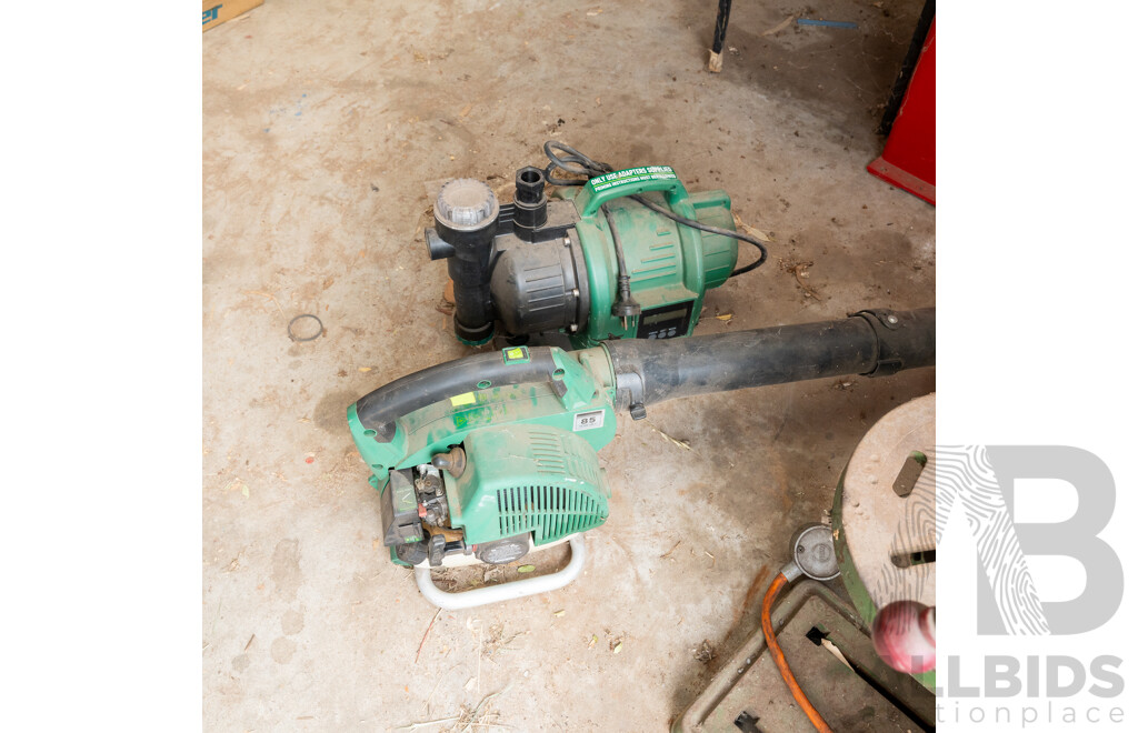 Gardenline 2 Stroke Leaf Blower and 240 Volt Garden Pump