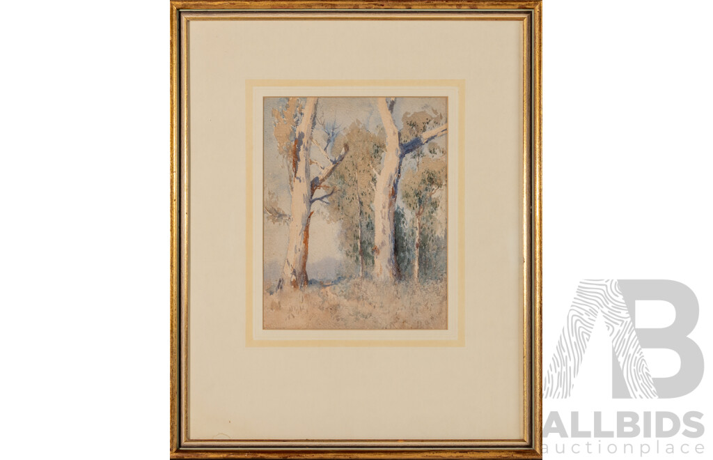 Herbert McClintock, (20th Century, Australian, 1906-1985), Gums, Wonderful Original Vintage Watercolour, 58 x 48 cm (frame)