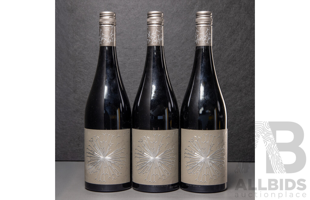 Dandelion Vinyards Firehawk Shiraz Vintage 2018 X 3