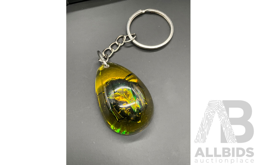 Beetle Inclusion in a Yellow, Amber-like Resin Keychain - Lot of 4