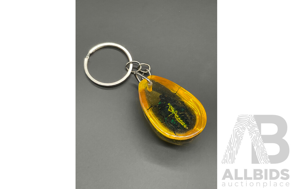 Beetle Inclusion in a Yellow, Amber-like Resin Keychain - Lot of 4