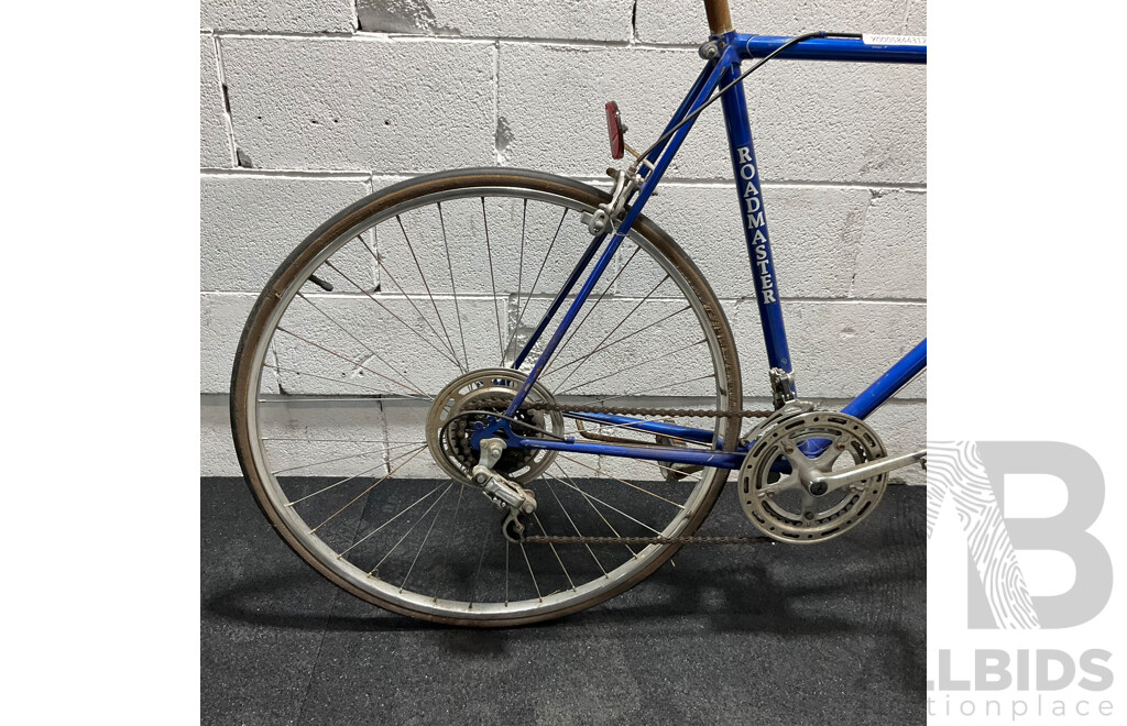 Roadmaster GX-Sports Bike