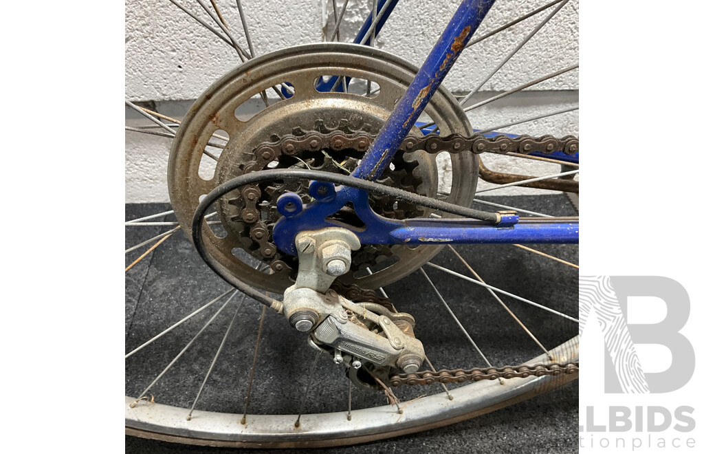 Roadmaster GX-Sports Bike