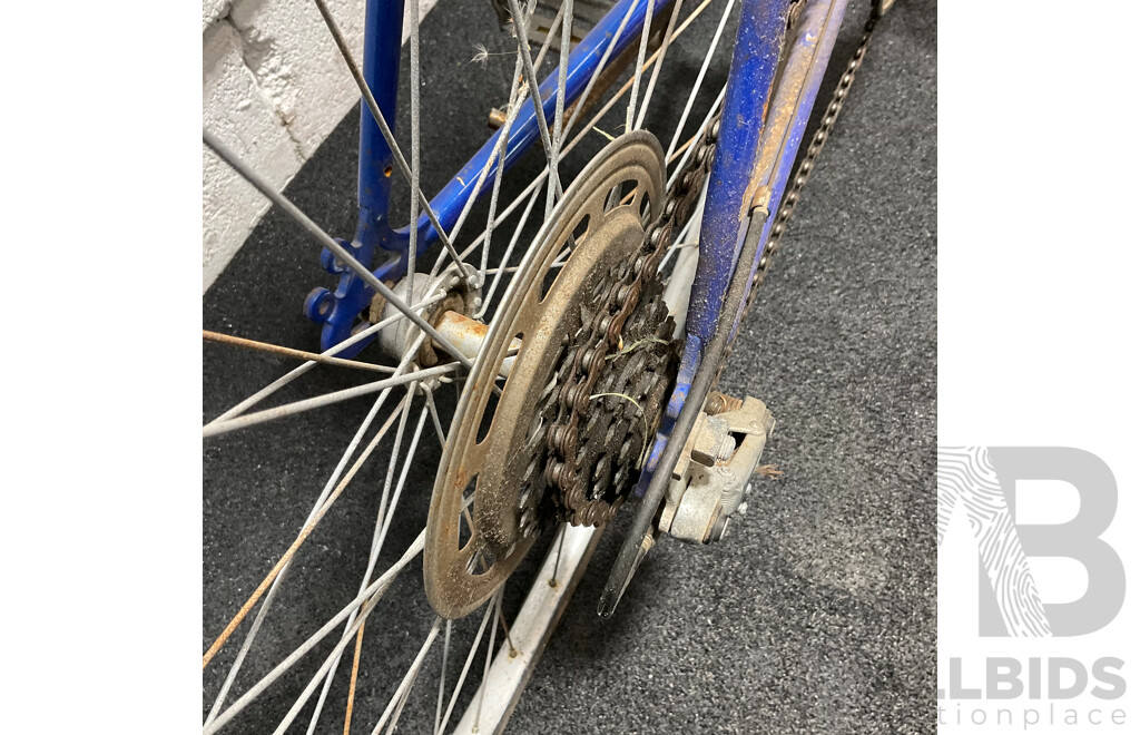 Roadmaster GX-Sports Bike