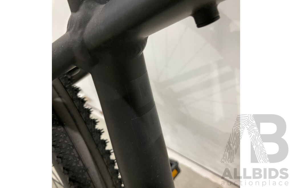 TREK Dual Sport 1 Bike - Size M