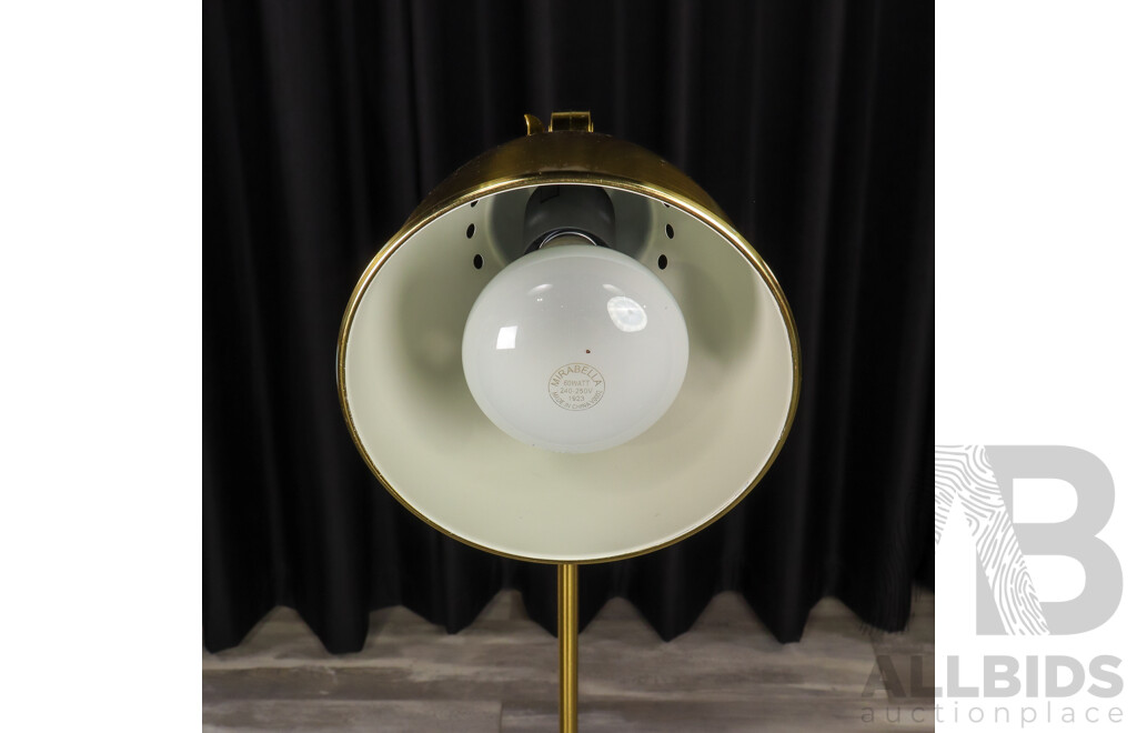 Metal Articulated Floor Lamp