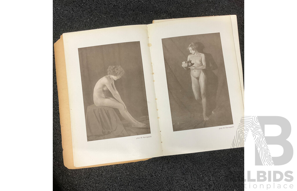 Lot of Adult Content Books, Including Chinese Erotism, Kamasutra, Mehr Nacktheit, the Naughty Nineties, Model in Movement by John Everard and More