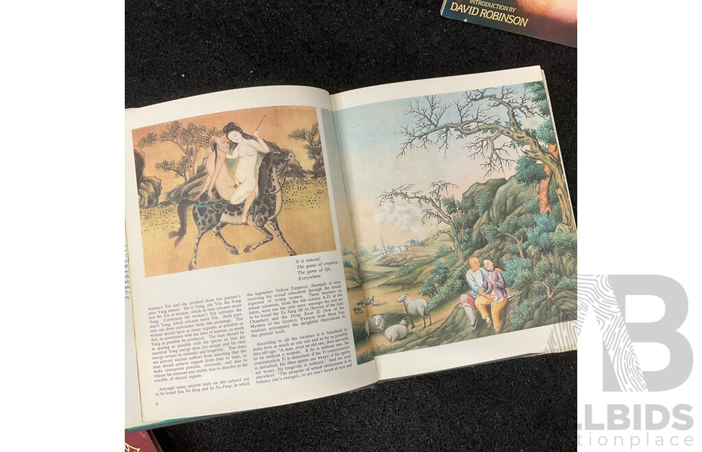 Lot of Adult Content Books, Including Chinese Erotism, Kamasutra, Mehr Nacktheit, the Naughty Nineties, Model in Movement by John Everard and More