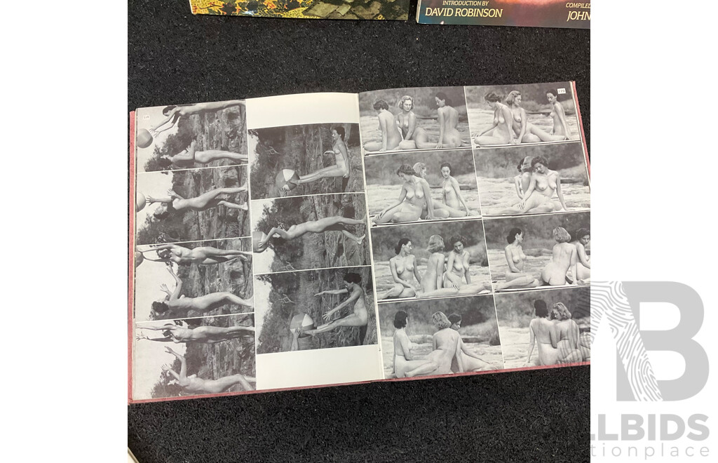 Lot of Adult Content Books, Including Chinese Erotism, Kamasutra, Mehr Nacktheit, the Naughty Nineties, Model in Movement by John Everard and More