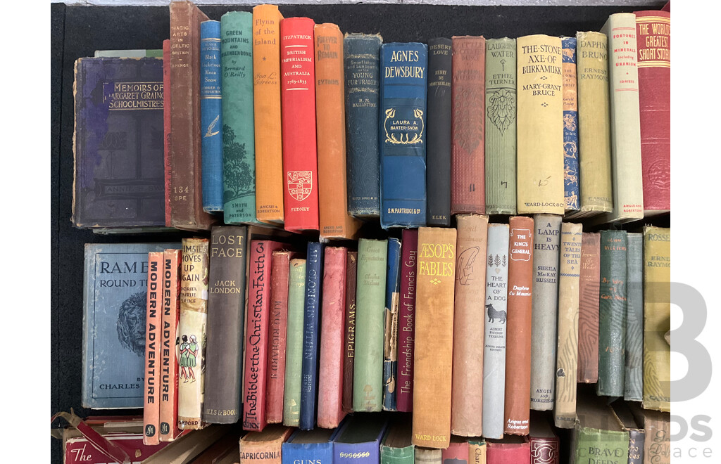 Collection of Vintage and Antique Books in Decorative Hardback