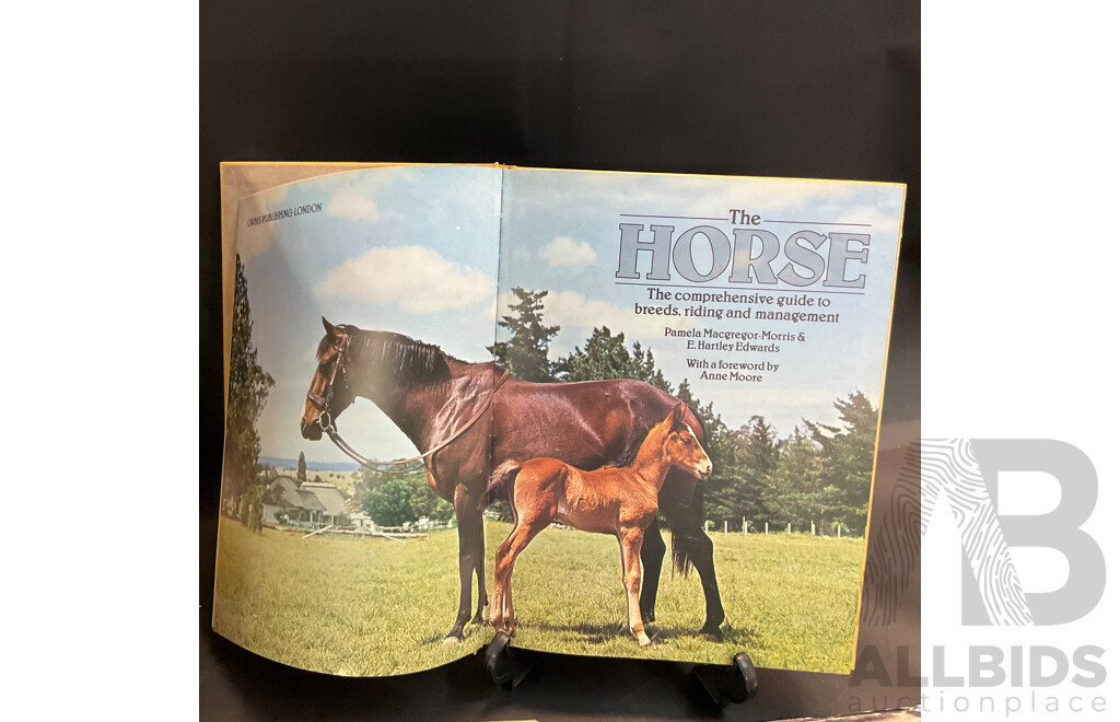 Large Collection of Vintage Books Related to Horses