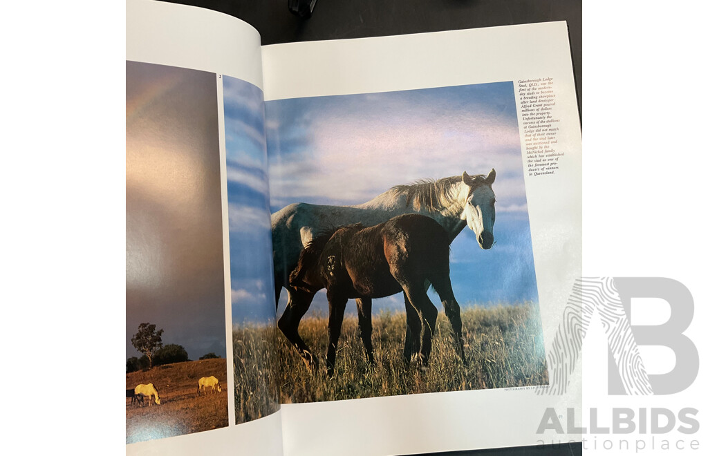 Large Collection of Vintage Books Related to Horses