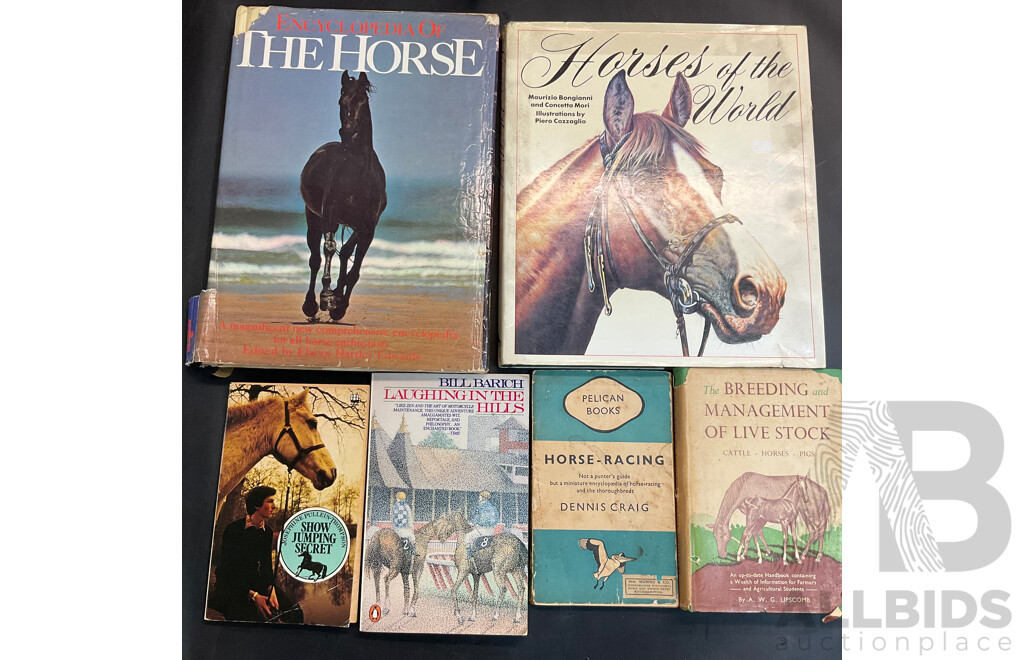 Large Collection of Vintage Books Related to Horses