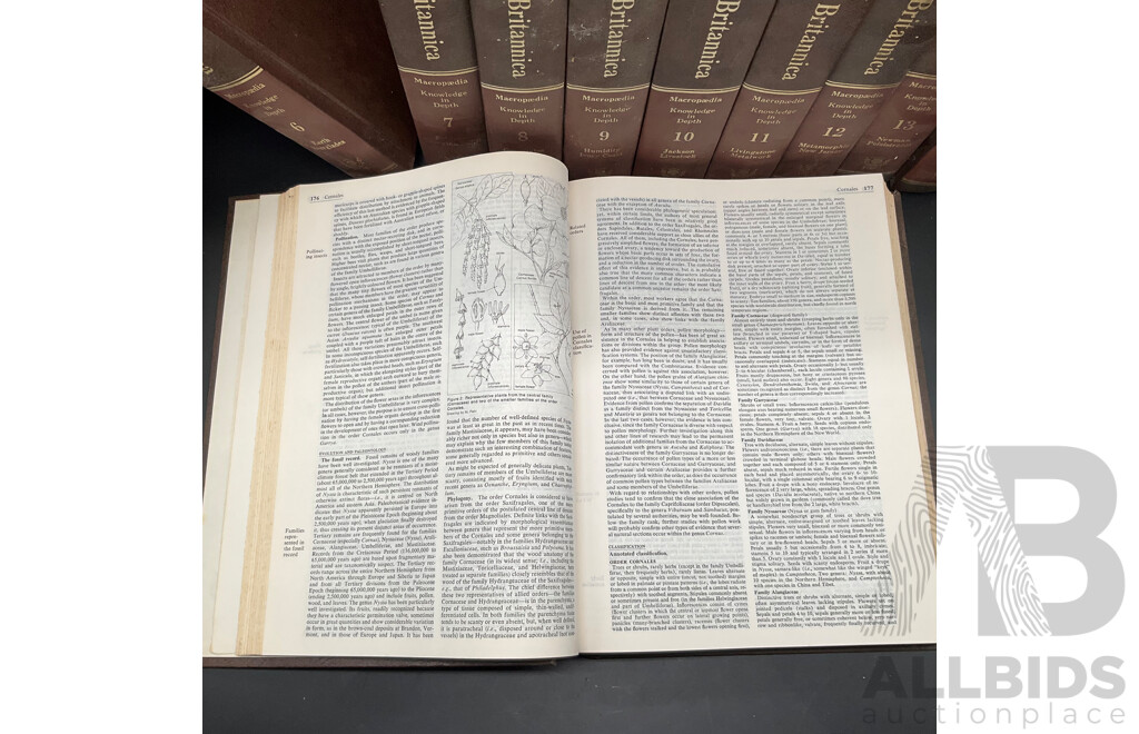 Encyclopaedia Britanica Volumes 5 to 14 - Lot of 10