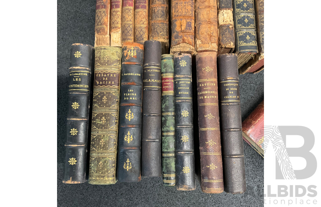 Collection of Antique and Vintage European Books - Lot of 23