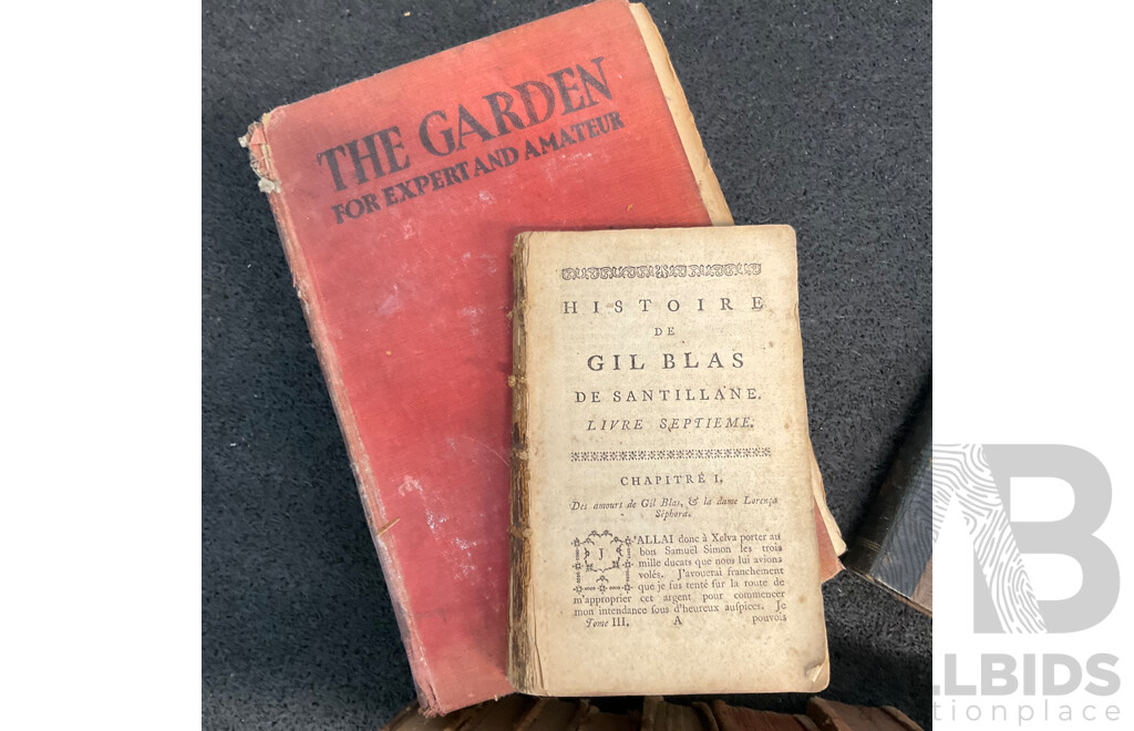 Collection of Antique and Vintage European Books - Lot of 23
