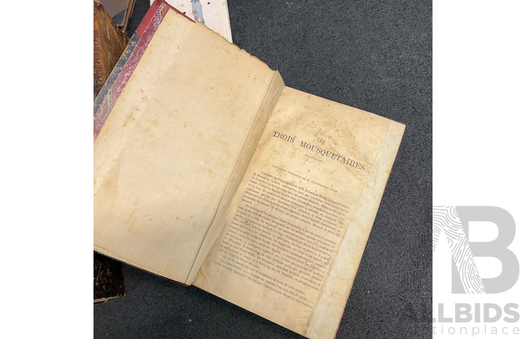 Collection of Antique and Vintage European Books - Lot of 23