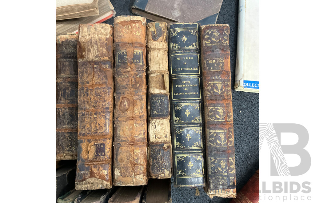 Collection of Antique and Vintage European Books - Lot of 23