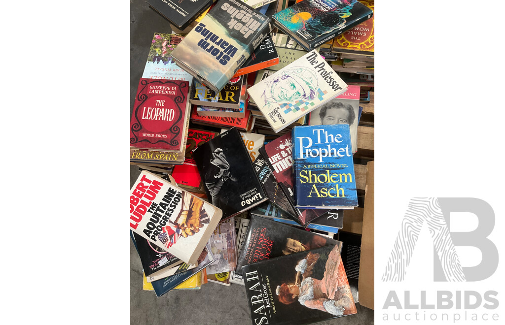 Huge Collection of Vintage Novels and More