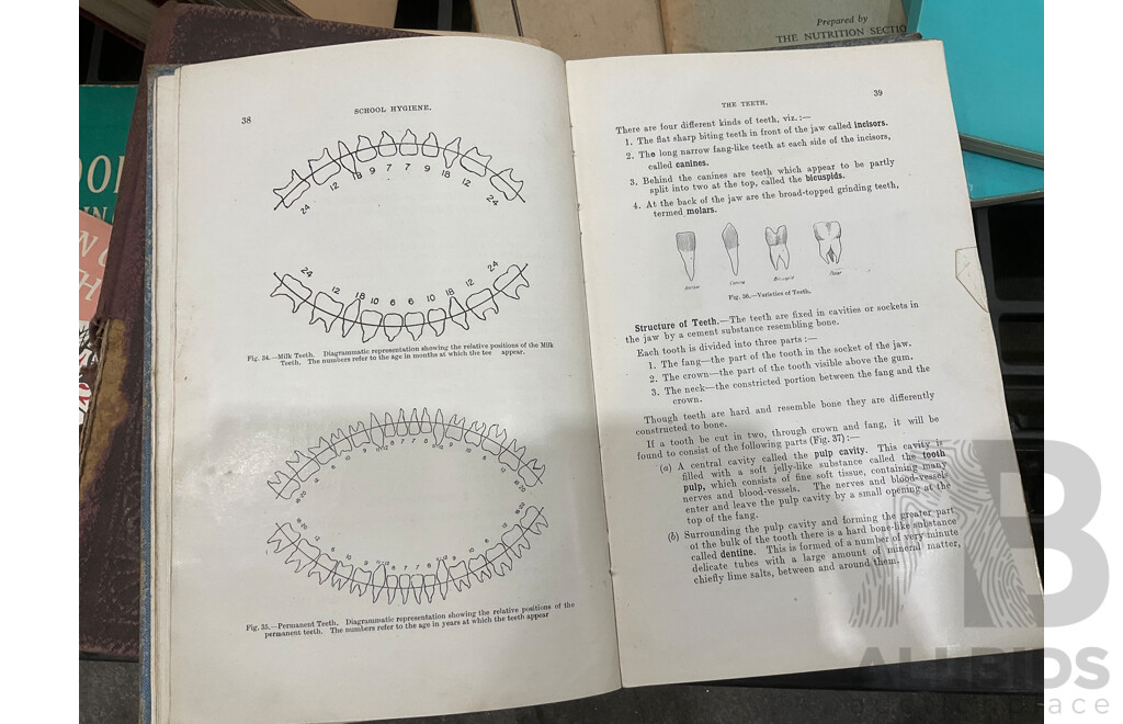 Collection of Vintage Medical, Psychology and Others Books