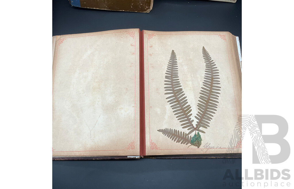 Collection of Vintage Books, Including Photo Album, Scrapbook and Botanical Album