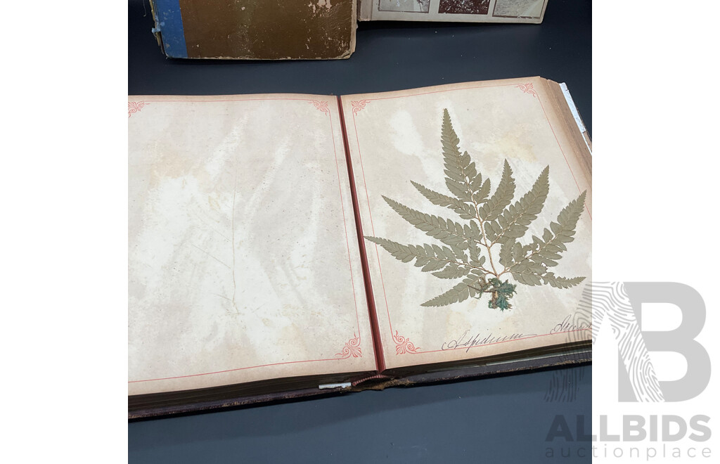 Collection of Vintage Books, Including Photo Album, Scrapbook and Botanical Album