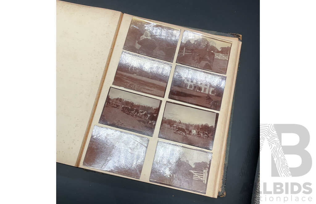 Collection of Vintage Books, Including Photo Album, Scrapbook and Botanical Album