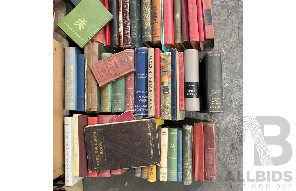 Collection of Vintage Books - 1 Full Pallet