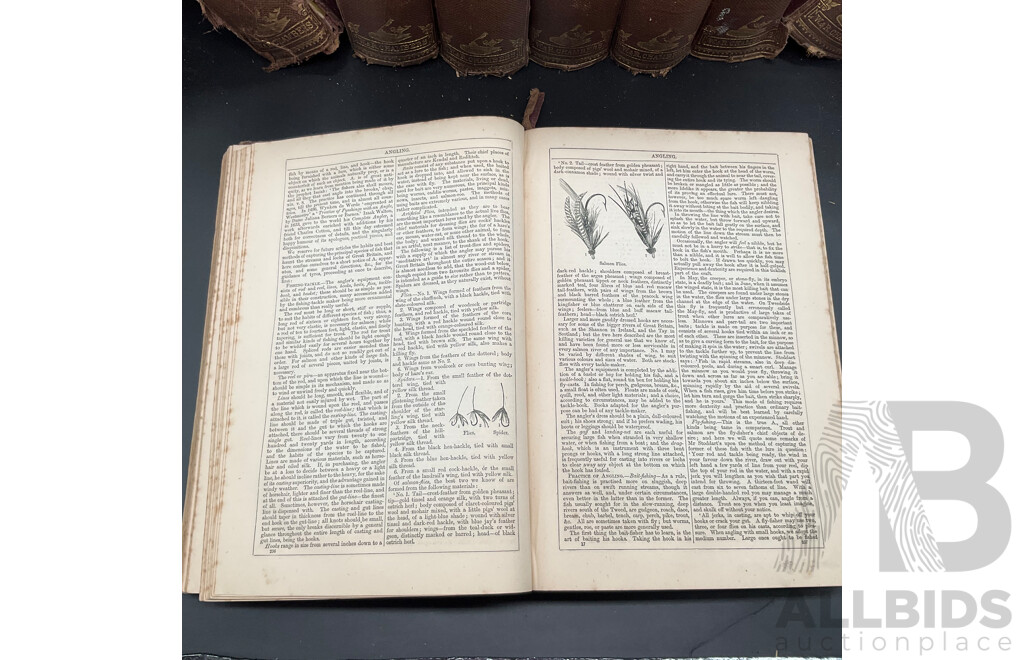 CHAMBER'S ENCYCLOPEDIA, Volumes I to X