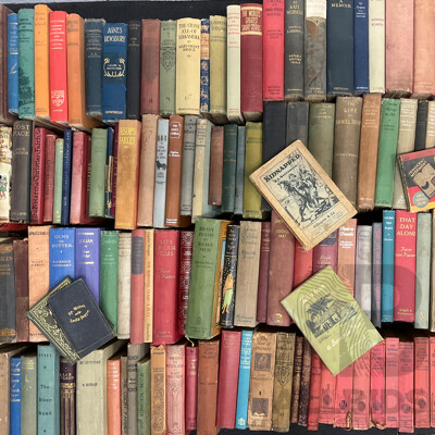 Collection of Vintage and Antique Books  in Decorative Hardback