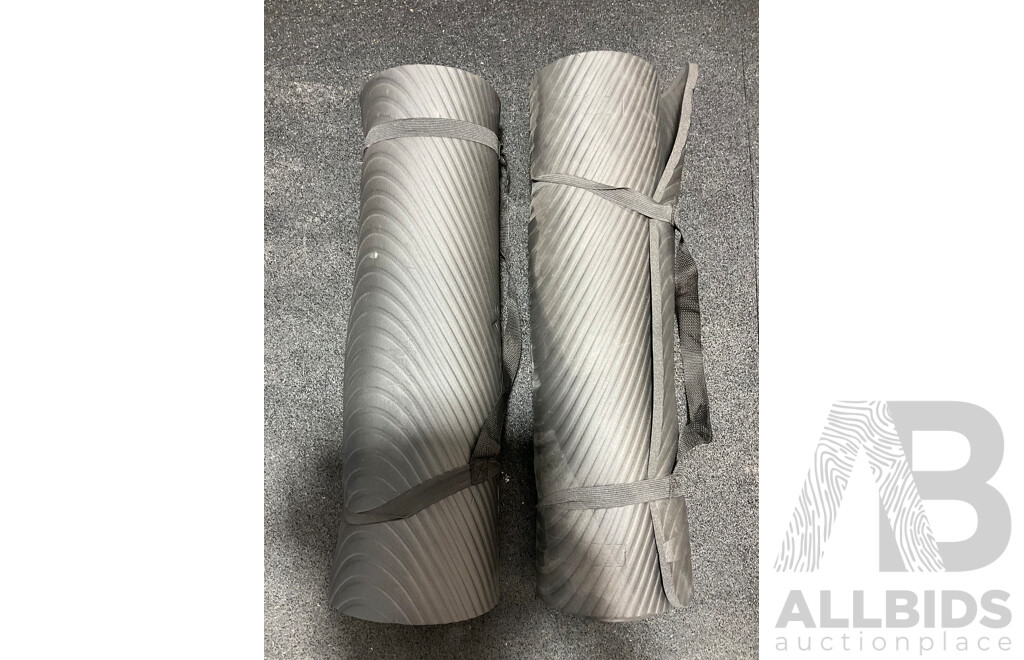 Camping Bundle, Including Beach Trolley, Two Sleeping Bags, Two Mats, Tent, EVERLAST Bag and Shoes - Lot of 8