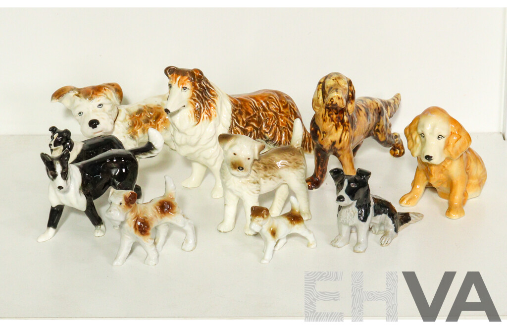 Collection of Porcelain Dogs