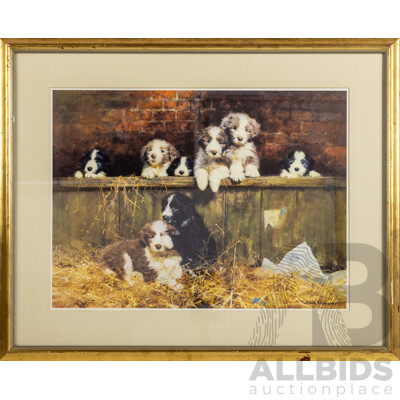 David Sheperd, (20th Century, British, 1931-2017), Puppies, Lovely Quality Reproduction Colour Print After Original, 65 x 80 cm (frame)