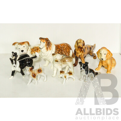 Collection of Porcelain Dogs
