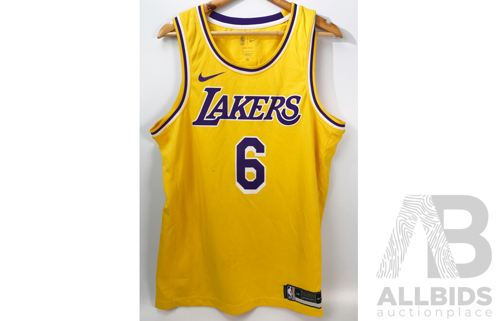NBA Los Angeles Lakers - LeBron James #6 Jersey (Size: Large)