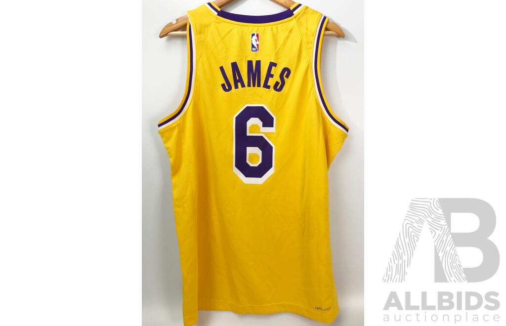 NBA Los Angeles Lakers - LeBron James #6 Jersey (Size: Large)